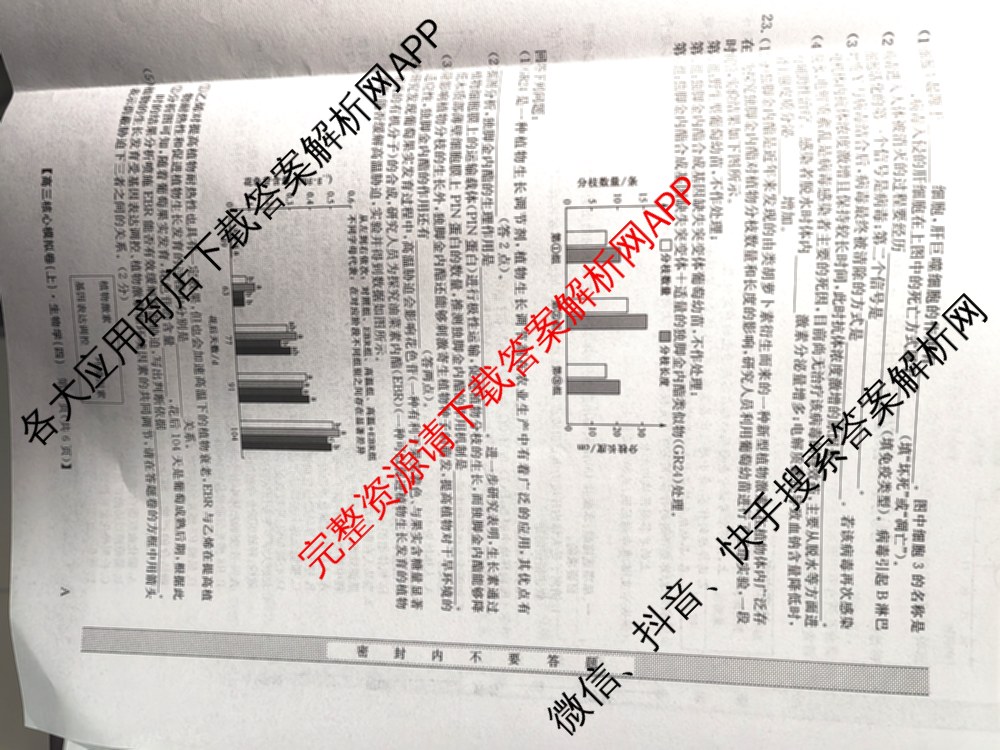 九师联盟2024~2025学年高三核心模拟卷(上)(四)4（18科全）生物试题
