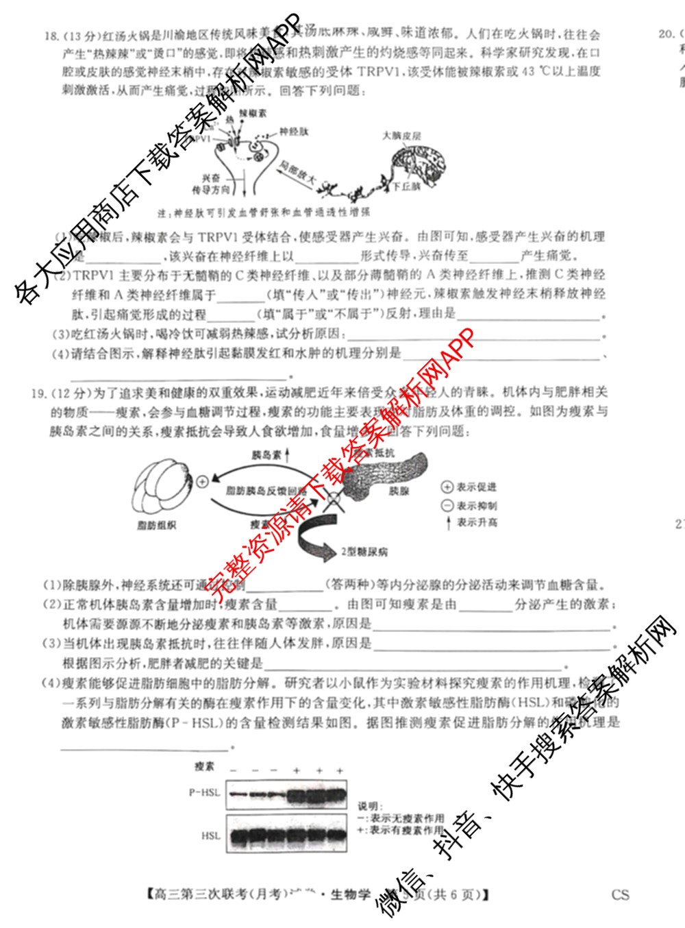 全国名校大联考2024~2025学年高三第三次联考(月考)试卷及答案汇总: 含生物(B)、物理(CS)、化学(C)试卷解析生物试题