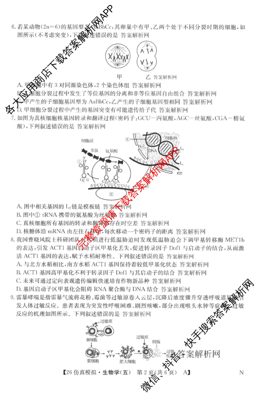 2026年全国高考仿真模拟卷(五)5各科答案及试卷（含数学(N)、政治(C N)、历史(A N)等14份）生物试题