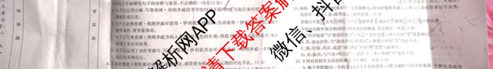 陕西省2024-2025高二期中质量检测(11.6)各科答案及试卷(已更新历史、化学、地理等9份)语文试题