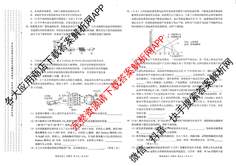 学科网2025届高三4月大联考试卷及答案汇总（含物理(新高考卷C) 文综(新课标卷) 英语(新课标卷A)等）生物试题