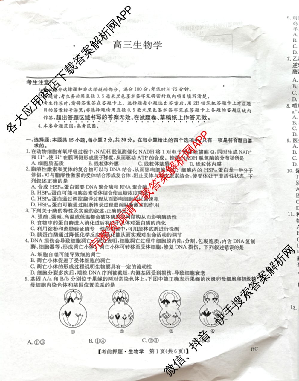 九师联盟2025届高三5月考前冲刺(一)（含地理(N)、政治、英语(无字母)等45份）生物试题
