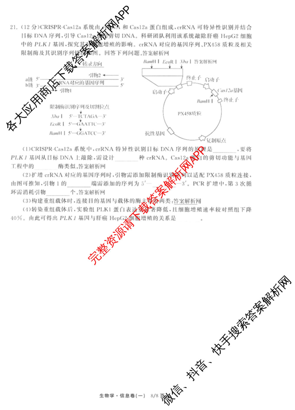 天舟高考衡中同卷2026年普通高等学校招生全国统一考试模拟信息卷(一)1(已更新政治(WY)、政治(河南版)、英语(通用版)等34份)生物试题