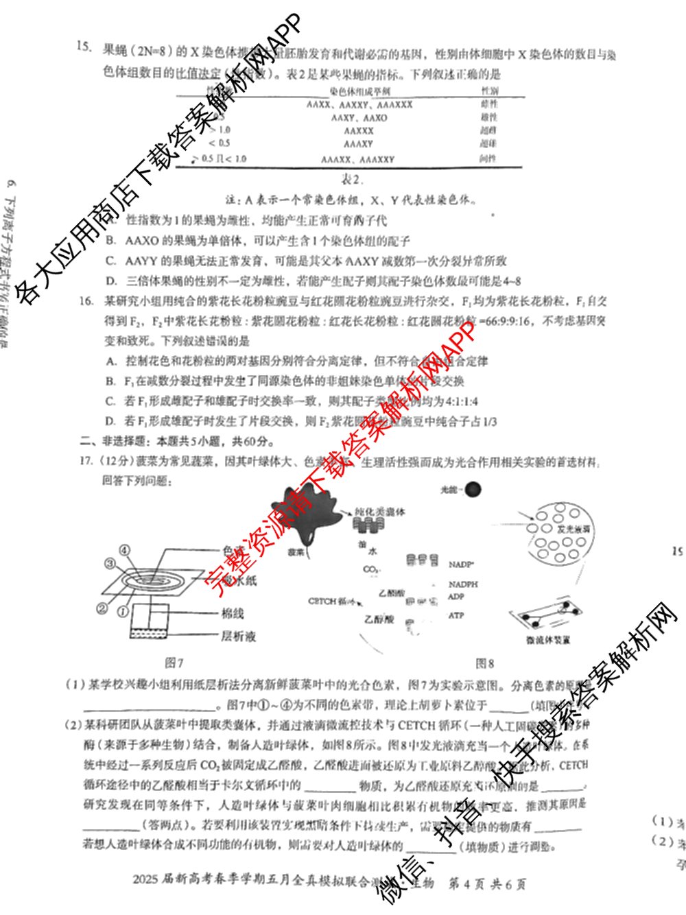 广西邕衡教育名校联盟2025届新高考春季学期五月全真模拟联合测试试卷及答案汇总(已更新地理 英语 物理等10份)生物试题