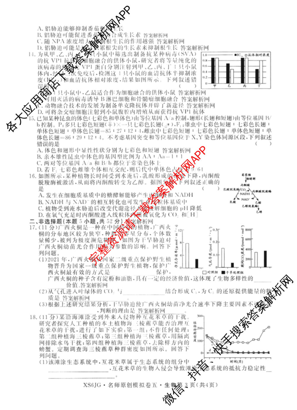 2026届高三总复习名师原创模拟(五)5各科答案及试卷（含政治(XS6JG)、化学(新S6J)、物理(CQX6)等39份）生物试题