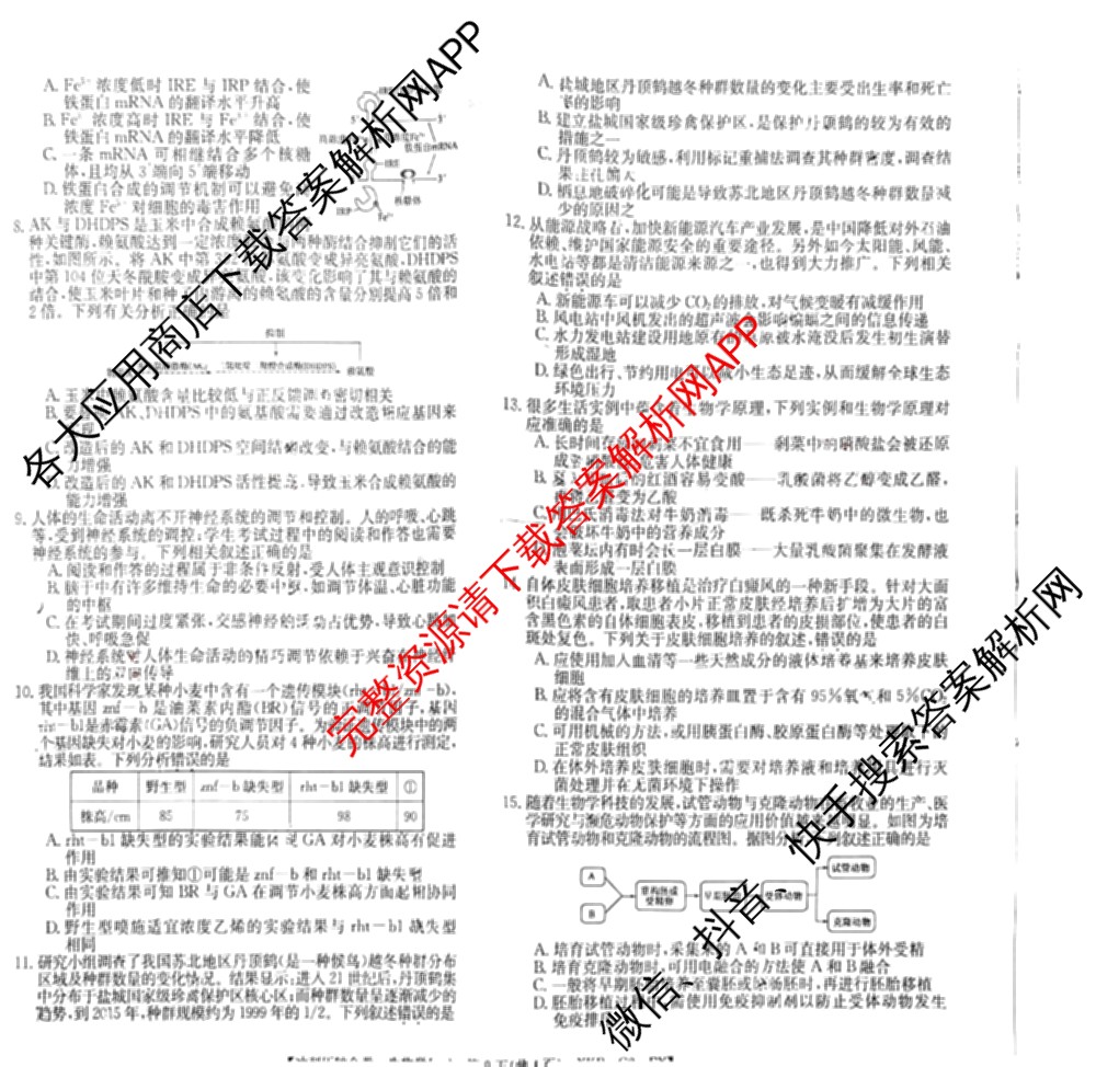 XKB2025届普通高等学校招生全国统一考试冲刺压轴金卷(一)1（含物理(XKB-G10-EX) 英语(XKB-G1-EX) 化学(XKB-G1-H-EX)等）生物试题