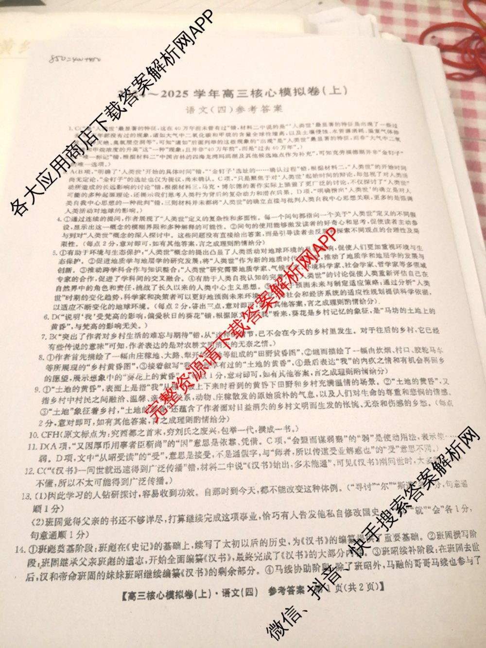 九师联盟2024~2025学年高三核心模拟卷(上)(四)4（18科全）语文答案