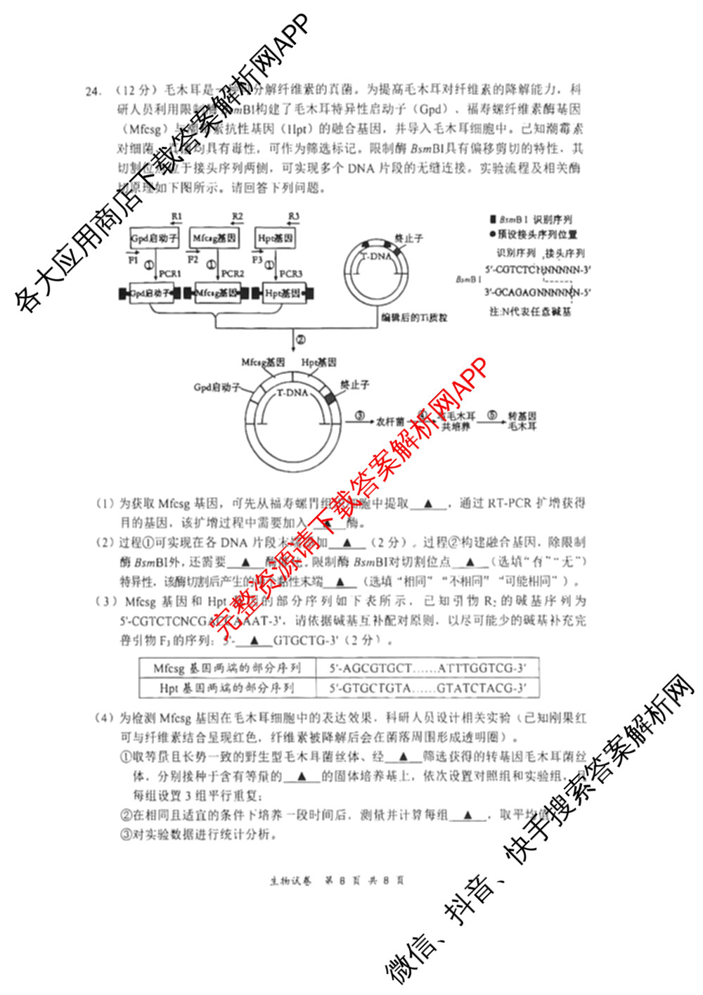 江苏南通2027届高三第一次质量监测各科答案及试卷（含物理、生物、历史等9份）生物试题