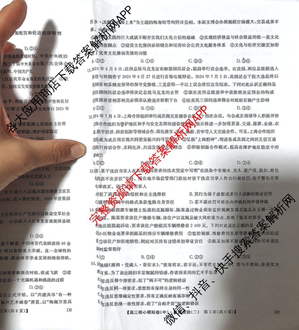 九师联盟2024~2025学年高三核心模拟卷(中)(二)2（含历史 地理(D4) 数学等29份）政治试题