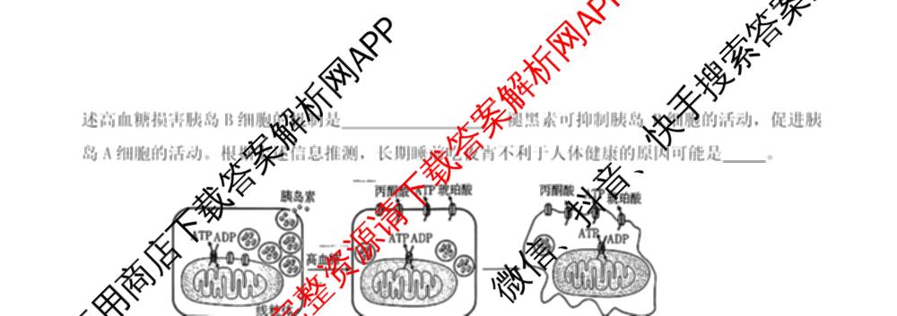 河北省涿州二中2026届高三下学期3月一模试卷及答案汇总(已更新历史 物理 英语等9份)生物试题