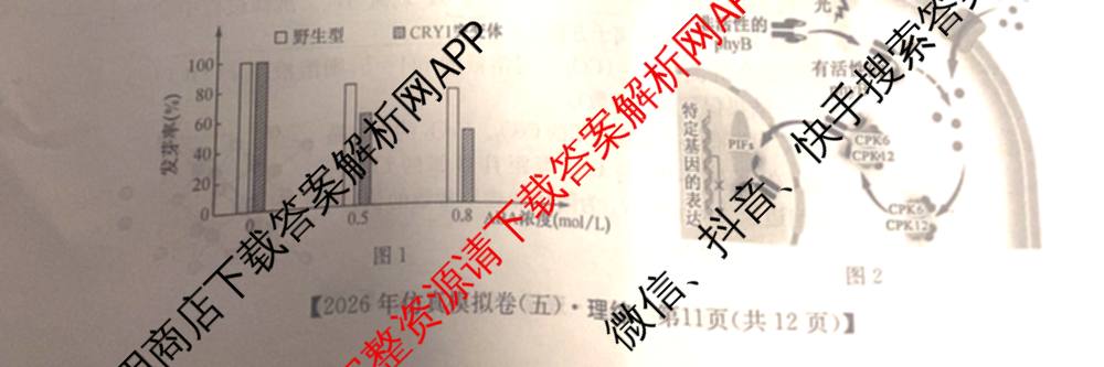 2026年全国高考仿真模拟卷(五)5各科答案及试卷(已更新地理(广西) 化学(广西) 历史(E2)等35份)理综试题