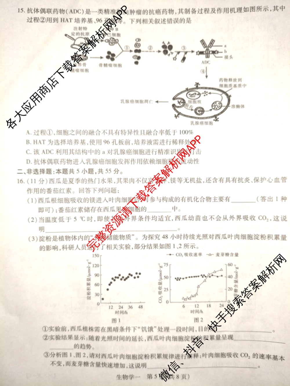 2026届智慧上进名校学术联盟高考模拟信息卷&冲刺卷&预测卷(一)1(已更新化学(I-26-1) 历史(26-1) 生物(II)等49份)生物试题