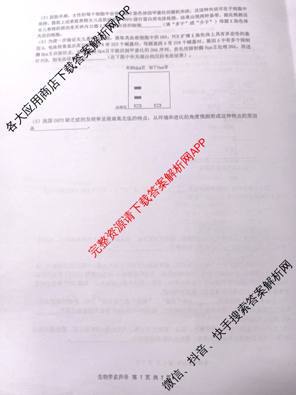 2025年华中师大一附中高考学科核心素养卷试卷及答案汇总（含历史 政治 数学等9份）生物试题