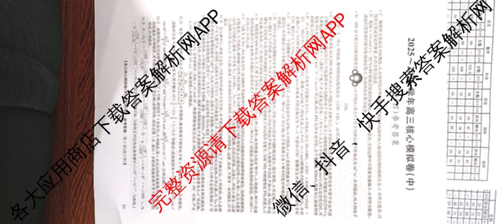 九师联盟2025~2026学年高三核心模拟卷(中)(四)试卷及答案汇总（36科全）化学答案