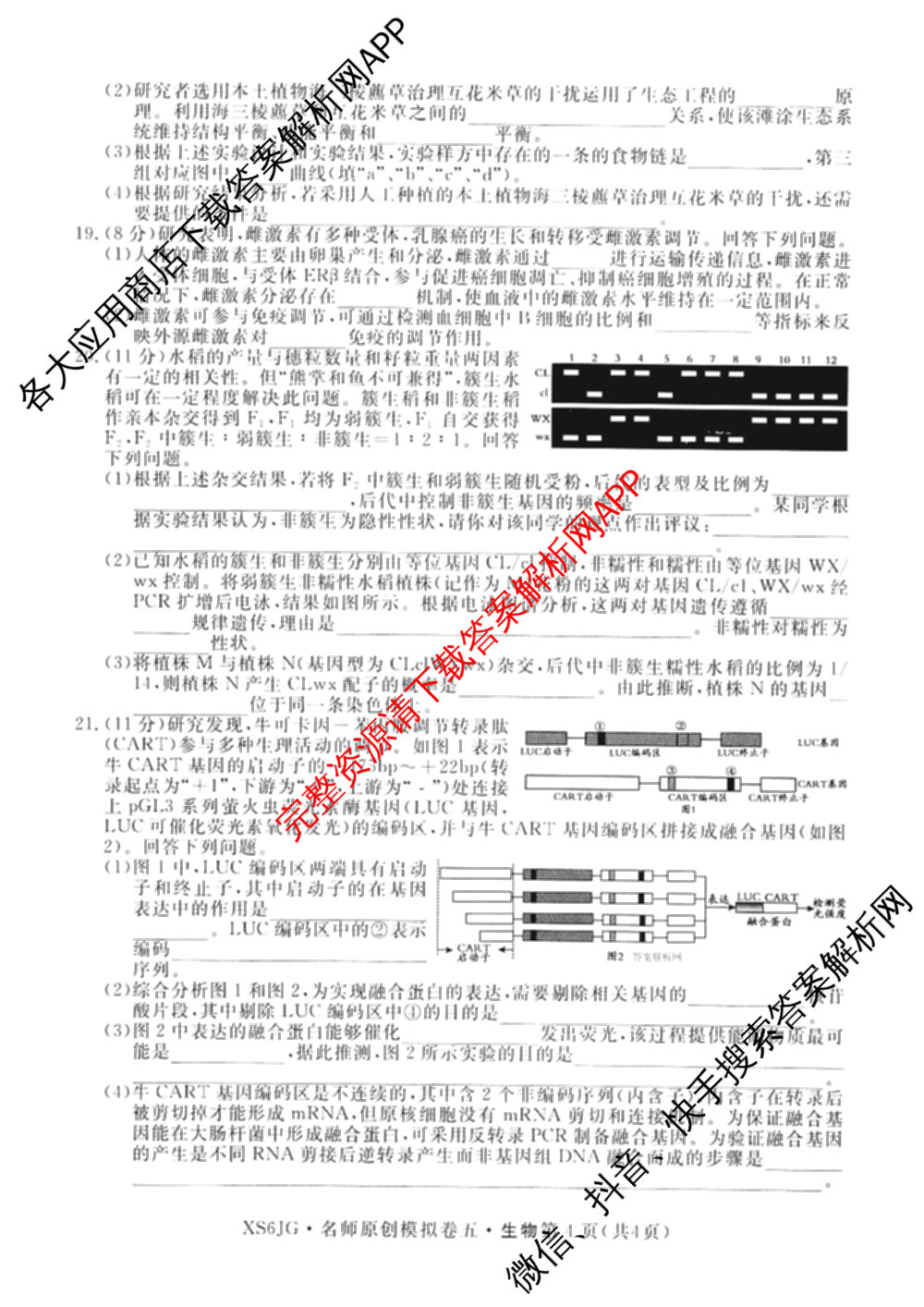 2026届高三总复习名师原创模拟(五)5各科答案及试卷（含政治(XS6JG)、化学(新S6J)、物理(CQX6)等39份）生物试题