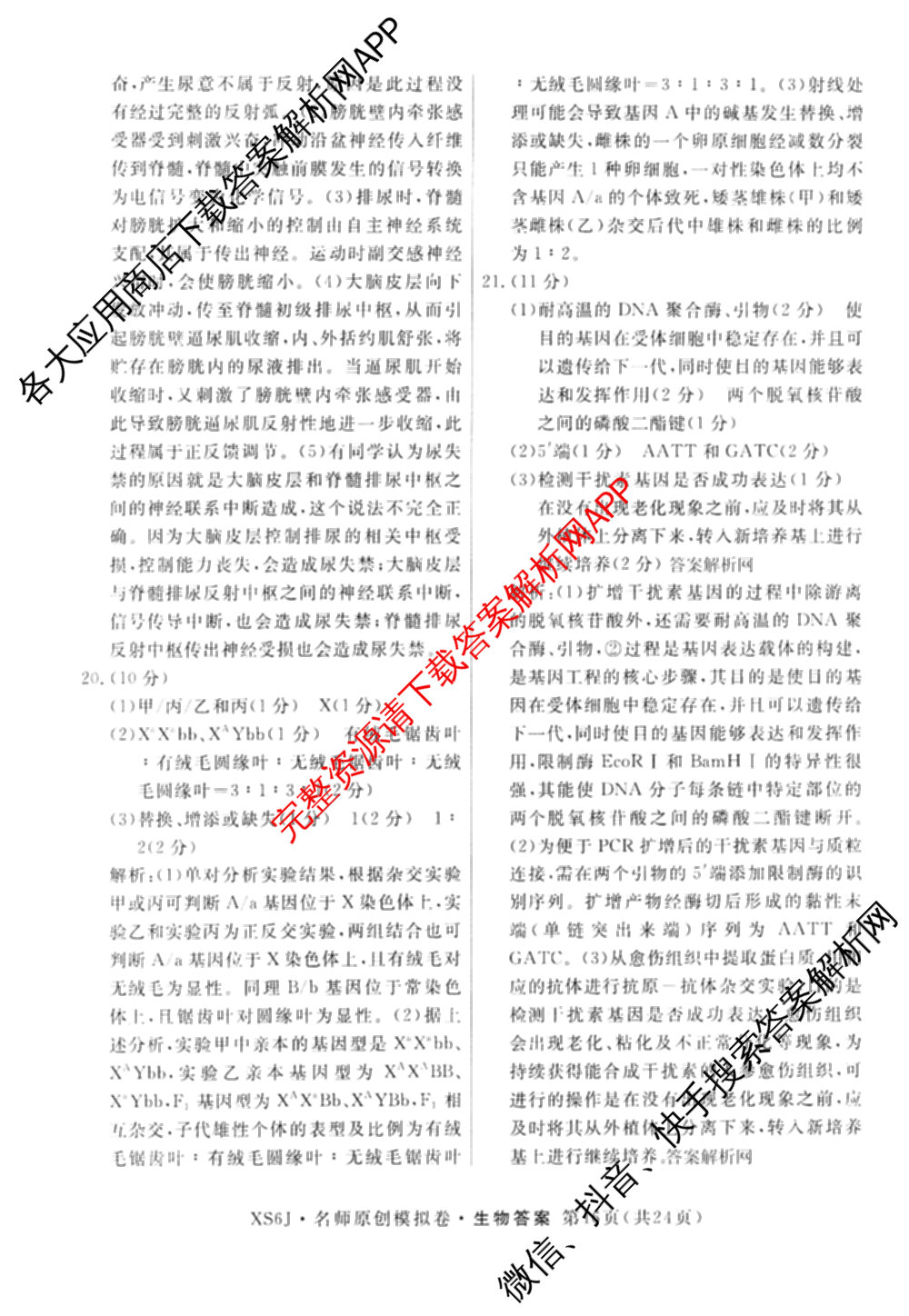 2026届高三总复习名师原创模拟(四)4各科答案及试卷（39科全）生物答案