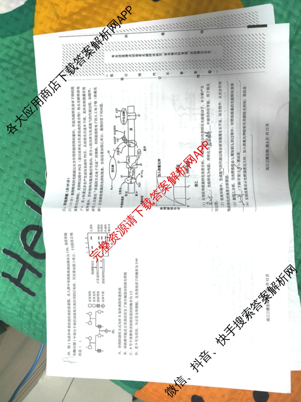 哈三中2025年高三学年第三次模拟考试各科答案及试卷（含化学、数学、语文等9份）生物试题