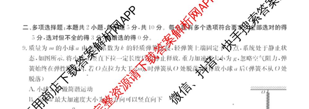 2026届高三学情检测(6009C)试卷及答案汇总（9科全）物理试题