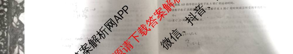 2025届高三部分重点中学3月联合测评(T8联考)(第二次八省联考)(已更新化学(HBZB)、历史(SXZB)、语文等25份)物理试题