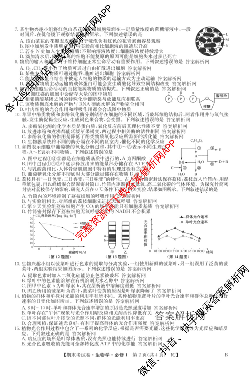 2025~2026学年度高一期末考试卷(上学期)各科答案及试卷(已更新语文(必修上册)、化学(必修第一册 RJ)、生物(必修1 RJ B)等9份)生物试题