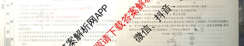 衡水名师卷高考模拟调研卷 2026年普通高等学校招生全国统一考试模拟试题(一)1: 含化学(※) 地理 物理(※)试卷解析生物试题