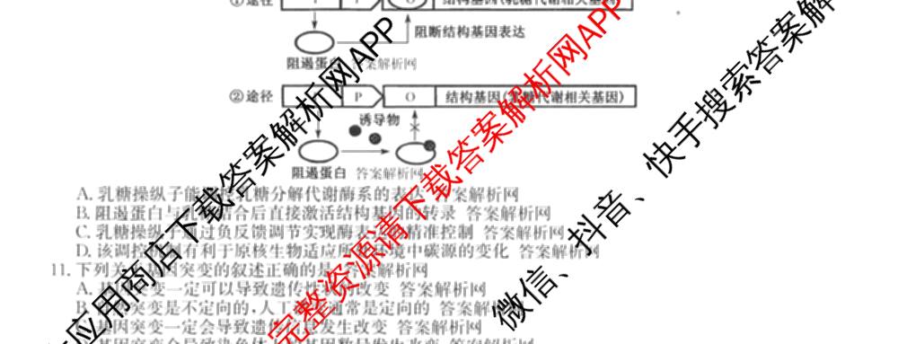 2025-2026学年度高一高中同步月考测试卷(下学期)(三)试卷及答案汇总（含生物(必修2 RJ B) 数学(必修第二册 RJ) 英语等9份）生物试题