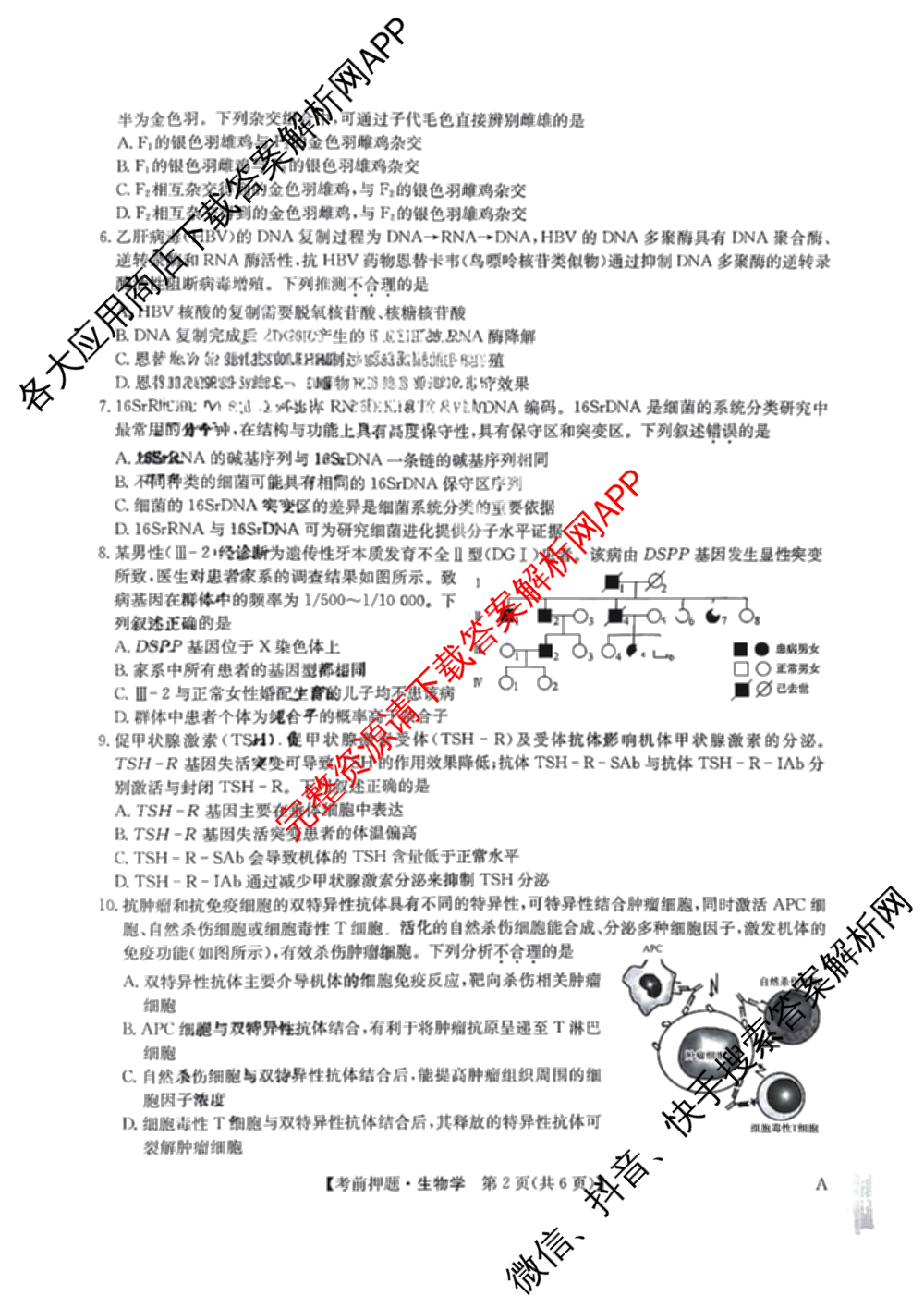 九师联盟2025届高三5月考前冲刺(一)（含地理(N)、政治、英语(无字母)等45份）生物试题