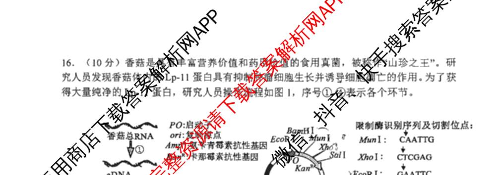 天津市和区2025-2026学年度第二学期高三年级第一次质量调查(已更新化学、历史、英语等9份)生物试题