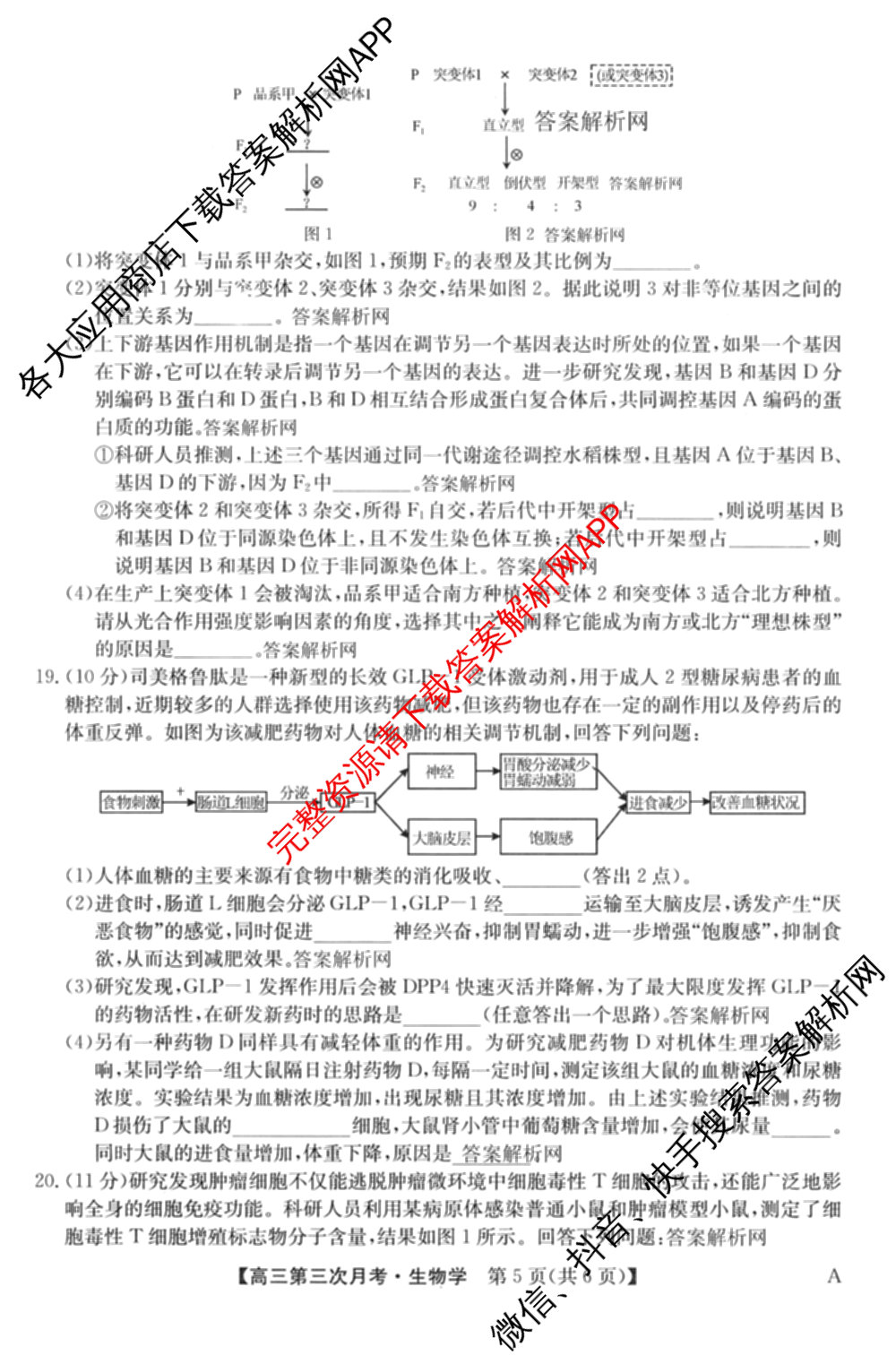 全国名校2026届高三月考滚动卷(三)3试卷及答案汇总: 含化学(A) 政治(C) 英语试卷解析生物试题