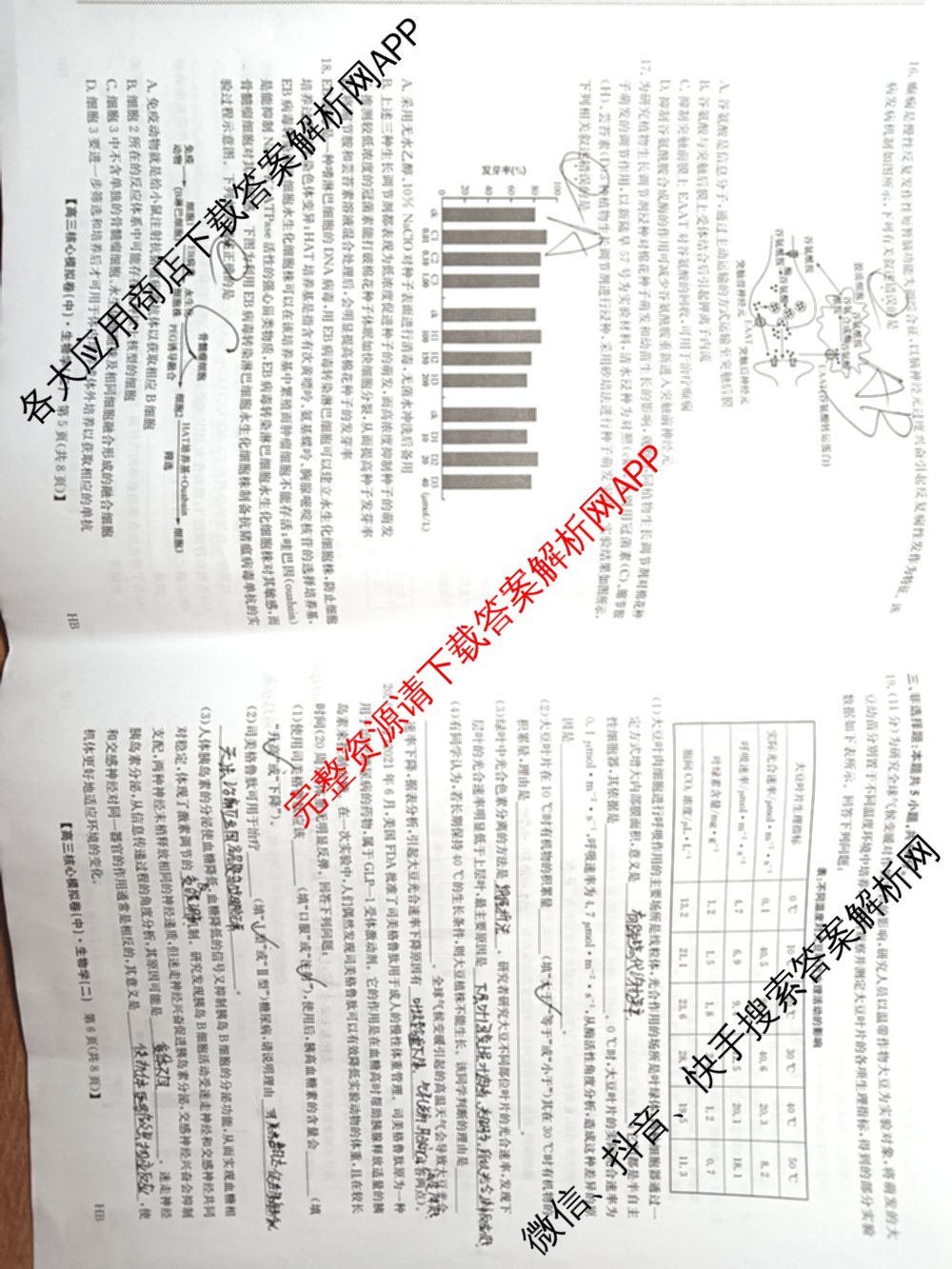 九师联盟2024~2025学年高三核心模拟卷(中)(二)2（含历史 地理(D4) 数学等29份）生物试题