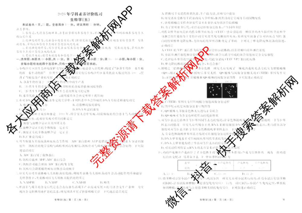 衡水金卷先享题2026年学科素养评价练(五)5各科答案及试卷（含政治(AH)【安徽四川甘肃专版】 物理(HN)【湖南专版】 生物(山东专版)等）生物试题
