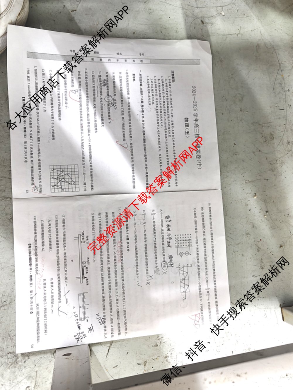 九师联盟2024~2025学年高三核心模拟卷(中)(五)5各科答案及试卷（含地理(HB) 物理(D1) 生物(D1)等）物理试题