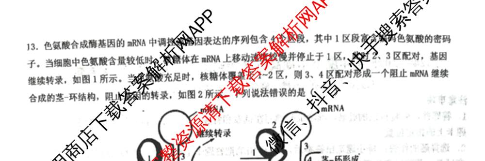 辽宁省实验中学2024-2025学年度下学期高三年级第五次模拟考试试卷及答案汇总（含化学、地理、物理等9份）生物试题