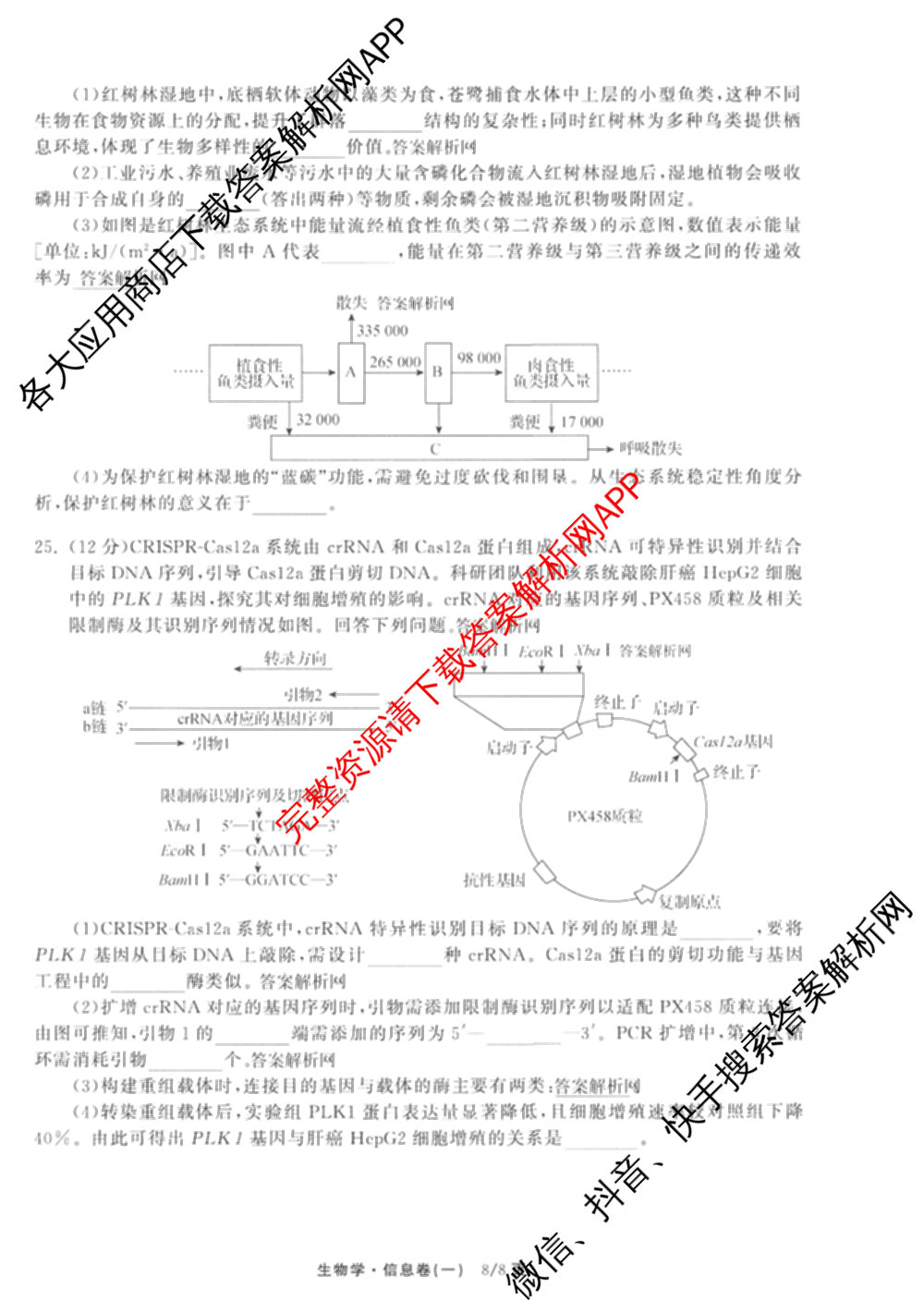 天舟高考衡中同卷2026年普通高等学校招生全国统一考试模拟信息卷(一)1各科答案及试卷（含化学(山东版) 历史(HJ) 生物(DS)等）生物试题