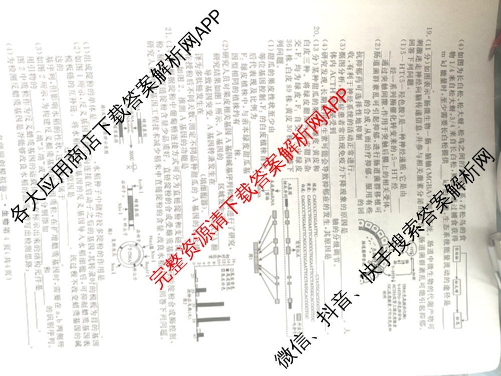 2026届高三总复习名师原创模拟(二)2（含地理(XS6J)、化学(新S6J)、化学(CQX6)等）生物试题