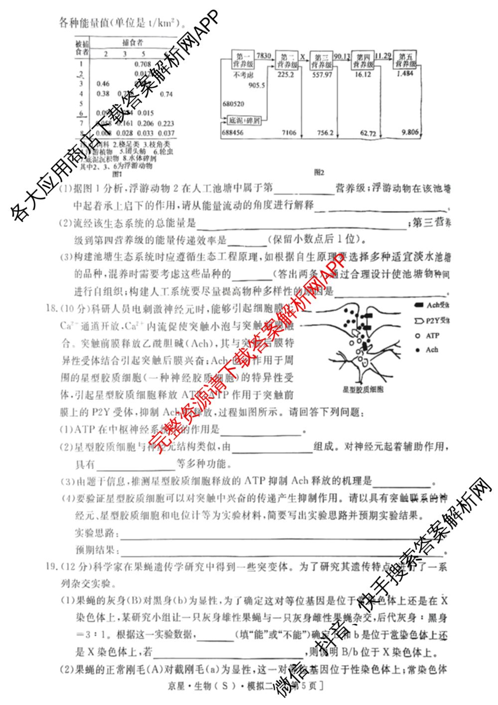 海淀八模2025届高三模拟测试卷(二)2试卷及答案汇总: 含文综(XJ)、物理(河南)、历史试卷解析生物试题