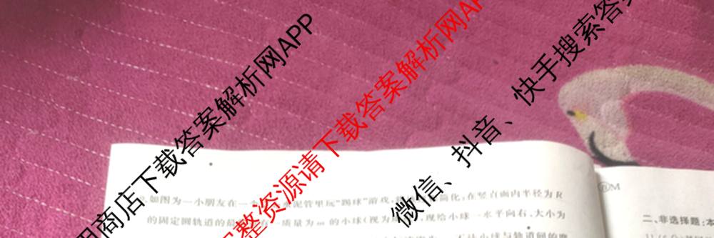 百师联盟2026届高三命题趋势预测(一)各科答案及试卷（含历史(百G)、物理(百F)、语文等）物理试题